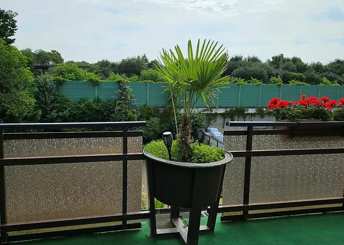 بيت ضيافة Haus Scheuten